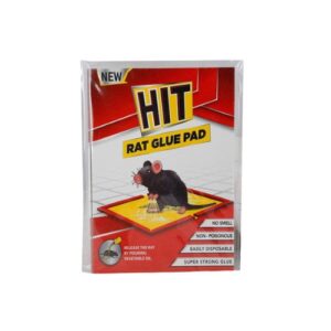 Hit Rat Glue Pad 1 Unit