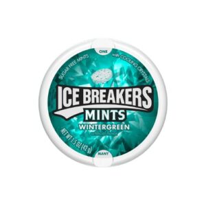 Ice Breakers Mints Wintergreen 42G